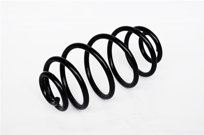 Arc Suspensie Spate 151192 73796 foto