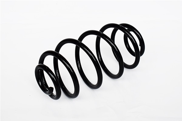 Arc Suspensie Spate 151192 73796