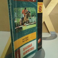 Anton Negrila - Matematică. Algebră, geometrie. Clasa a VIII-a. Partea I si II.