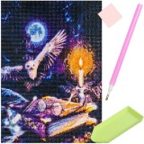Cumpara ieftin Pictura cu Diamante Bufnita 40x30 cm, Broderie Mozaic, Set Complet cu Aplicator, Lipici, Decoratiune Casa Andyluc