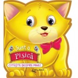 Cumpara ieftin Sunt o pisica. Citeste despre mine!