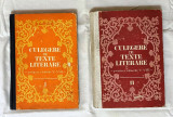 Culegere de texte literare clasele v-viii vasile teodorescu 2 vol cartonate