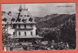 AS - C.P. VEDERE CĂLIMĂNEȘTI, CIRCULATĂ (STAREA CARE SE VEDE)