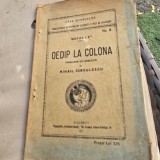 OEDIP LA COLONA - SOFOCLE