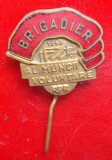 Insigna Brigadier al Muncii Voluntare - RPR 1948