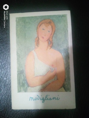 Modigliani-Jean Cocteau foto