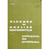 Algebra si analiza matematica culegere de probleme (X132)
