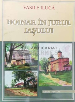 Hoinar in jurul Iasului - 2001 - Vasile Iluca ($P78) foto