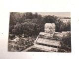 Vedere / Carte postala - R.P.R. Anii 60, Gradina botanica din Cluj, Sera Palmierilor, foto alb-negru, necirculata, Circulata, Fotografie