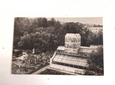 Vedere / Carte postala - R.P.R. Anii 60, Gradina botanica din Cluj, Sera Palmierilor, foto alb-negru, necirculata foto