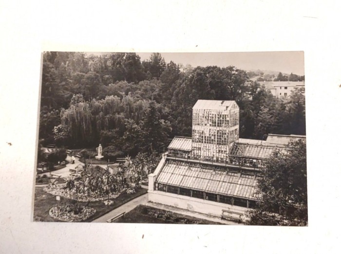 Vedere / Carte postala - R.P.R. Anii 60, Gradina botanica din Cluj, Sera Palmierilor, foto alb-negru, necirculata