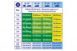 COMPRESOR AER 12V, Alca