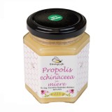 Propolis si echinaceea in miere by Dr. Ing. Cornelia Dostetan Abalaru apicultor