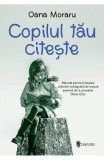 Copilul tau citeste PlayLearn Toys, Univers
