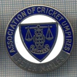AX 274 INSIGNA -ASSOCIATION OF CRICKET UMPIRES -PETER MAYLES