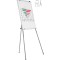 Flipchart magnetic, 100 x 70 cm, SMIT Budget