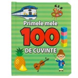 Carte pentru copii, Primele mele 100 de cuvinte, 3+ ani