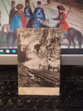 Intrarea &icirc;n Peșterea D&acirc;mbovicioara, circa 1910, 205, Necirculata, Printata