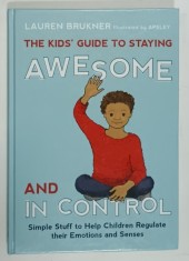 THE KIDS 'GUIDE TO STAYING AWESOME AN IN CONTROL by LAUREN BRUCKNER , illustrated by APSLEY , 2014
