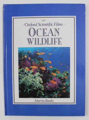 OCEAN WILDLIFE by MARTIN BANKS , 1989 foto