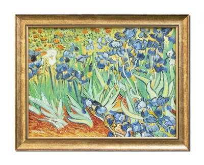 Tablou celebru inramat pictat manual, Irisi la Saint-Remy, 45x35cm ulei pe panza reproducere Vincent van Gogh - Magistral foto