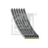 FEBI BILSTEIN 182094 Curea transmisie cu caneluri