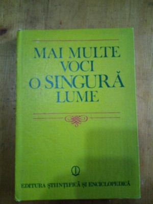 Mai multe voci o singura lume-Comisia O.N.U foto