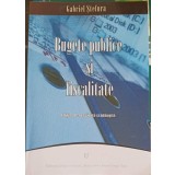 BUGETE PUBLICE SI FISCALITATE-GABRIEL STEFURA-250057