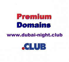 Domeniu premium www.dubai-night.club foto