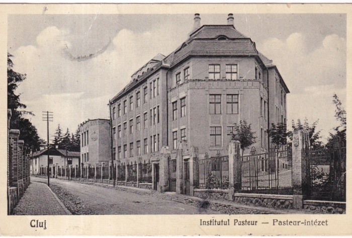 Cluj. Institutul Pasteur (circulata 1931)