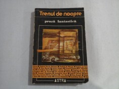 TRENUL DE NOAPTE proza fantastica -