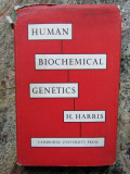 Human Biochemical Genetics - H. Harris