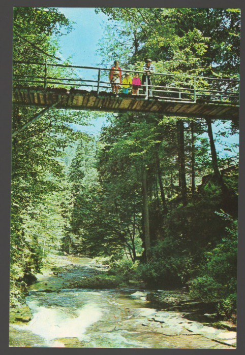 CPIB 17709 CARTE POSTALA - VALEA SLANICULUI