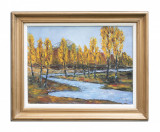 Cumpara ieftin Tablou pictat manual inramat, Peisaj din natura, 70x60cm, Valeriu Stoica 1996, Peisaje, Ulei, Realism