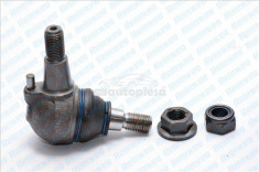 Pivot MERCEDES S-CLASS (W220) (1998 - 2005) REINWEG RW87851 foto