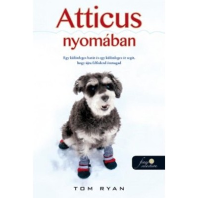 Atticus nyom&amp;aacute;ban - Tom Ryan foto