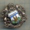 Y 1024 INSIGNA -VIERZEHNHEIUGEN -PROVIDENTIAE MEMOR-GERMANIA-PENTRU COLECTIONARI