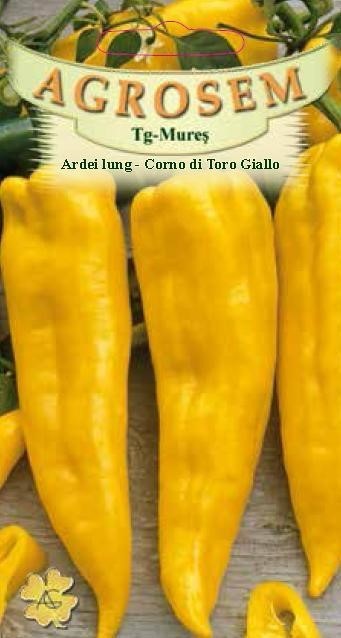 ARDEI LUNG CORNO GIALLO, 0.5 g