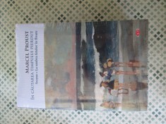 Marcel Proust - In cautarea timpului pierdut. Swann. La umbra fetelor in floare