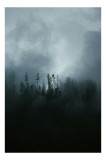 Tablou Canvas cu Pădure &icirc;n Ceață, 26 x 39 cm, CMCLASS