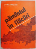 Pamantul in flacari &ndash; I. I. Iakubovski