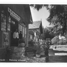 4909 - HOMOROD, Harghita, Store, Romania - old postcard, real PHOTO - unused