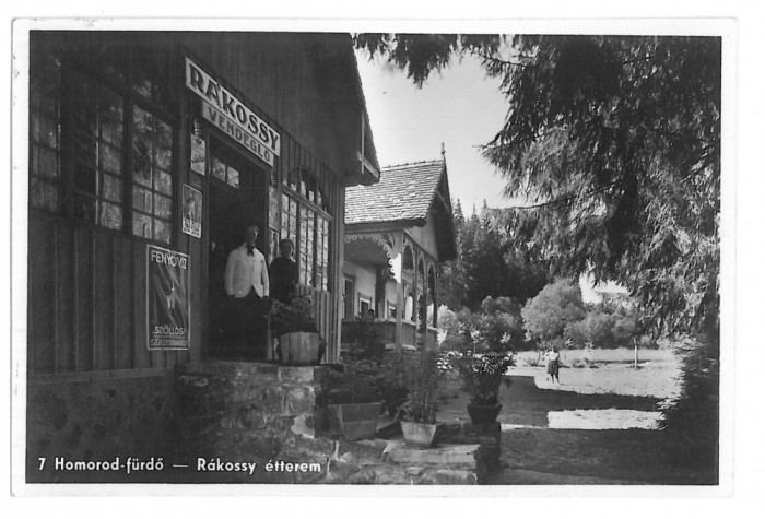 4909 - HOMOROD, Harghita, Store, Romania - old postcard, real PHOTO - unused