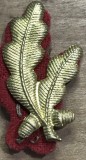 (N) [Militaria] &Icirc;nsemn Guler Ofițer Superior / General - Frunze Stejar pe Postav