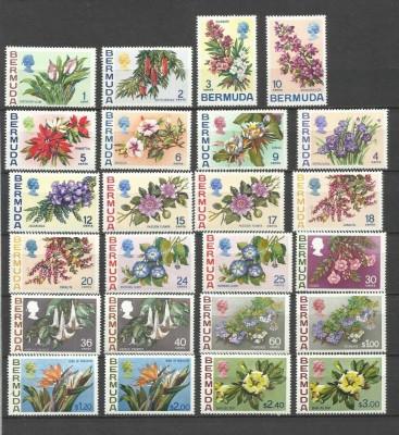 BERMUDA 1970-75 FLORI foto