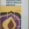 V. Constantinescu - Indrumatorul Vopsitorului Artistic