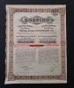 Actiune 1923 petrol soc. SOSPIRO , titlu , actiuni