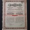 Actiune 1923 petrol soc. SOSPIRO , titlu , actiuni