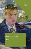Răul - Paperback brosat - Jan Guillou - Litera