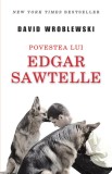 Povestea lui Edgar Sawtelle - David Wroblewski - Rao